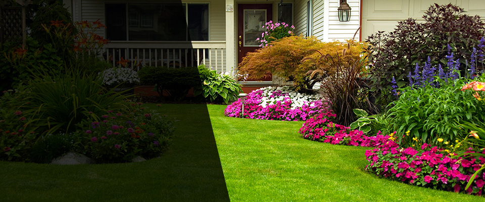 Tenino Landscapers
